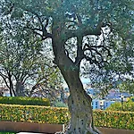 Le Cote Et Apartament Nicea