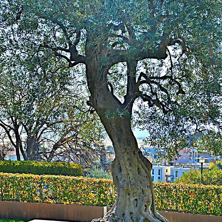 Le Cote Et Appartamento Nizza