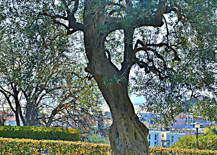 Le Cote Et Apartament Nicea